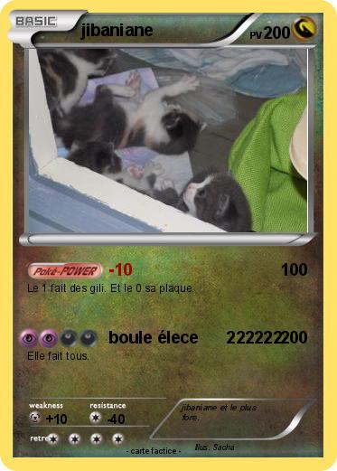 Pokemon jibaniane