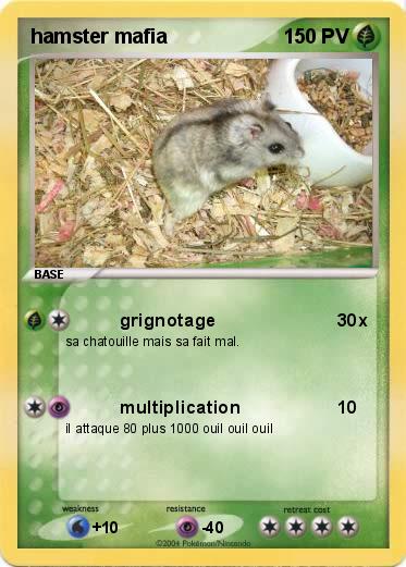Pokemon hamster mafia