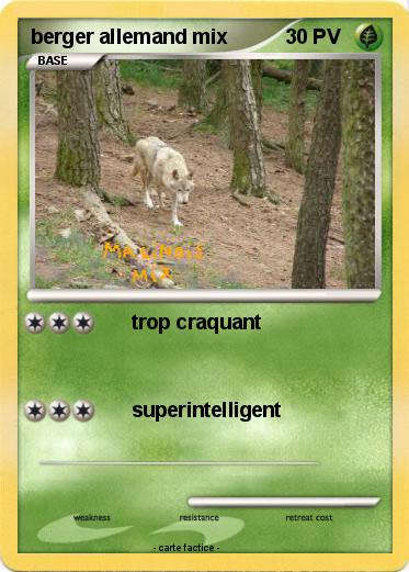 Pokemon berger allemand mix