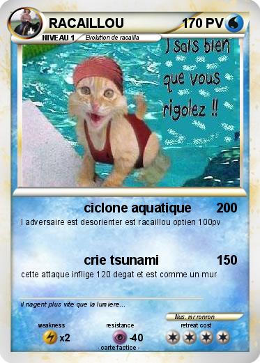 Pokemon RACAILLOU