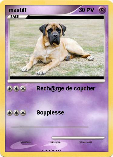 Pokemon mastiff