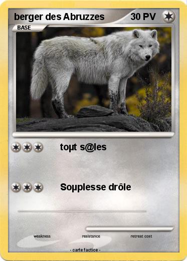 Pokemon berger des Abruzzes