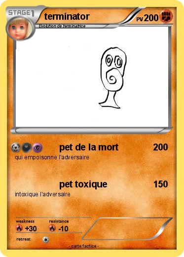 Pokemon terminator