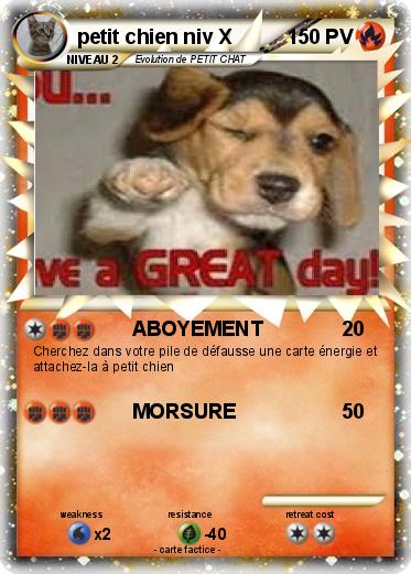 Pokemon petit chien niv X
