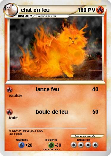 Pokemon chat en feu