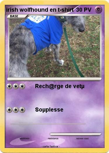 Pokemon irish wolfhound en t-shirt