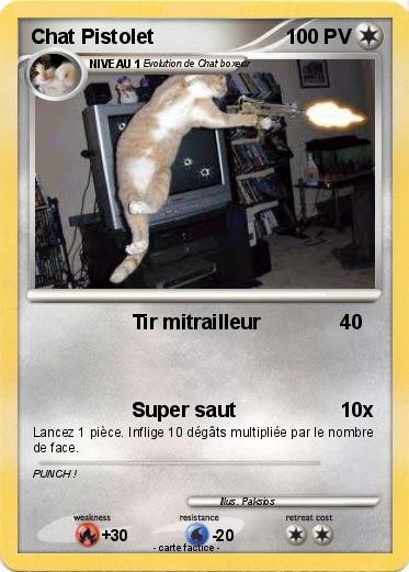 Pokemon Chat Pistolet