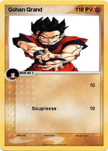 Pokemon Gohan Grand