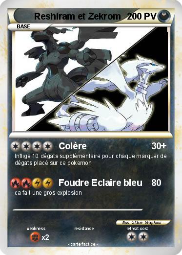 Pokemon Reshiram et Zekrom