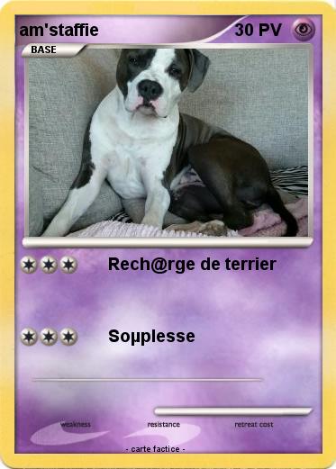 Pokemon am'staffie