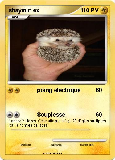 Pokemon shaymin ex