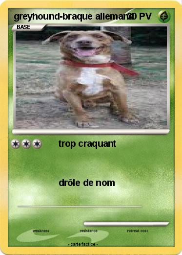 Pokemon greyhound-braque allemand