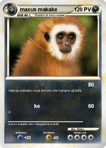 Pokemon maxus makake