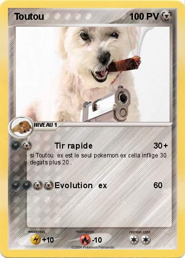 Pokemon Toutou