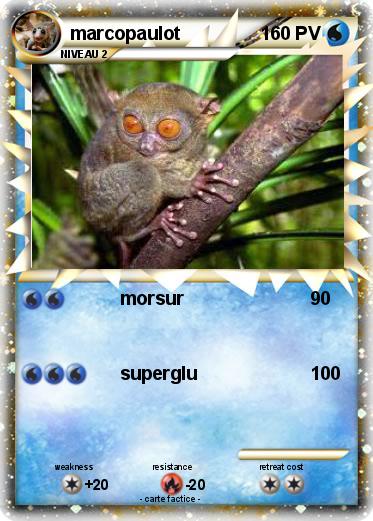 Pokemon marcopaulot