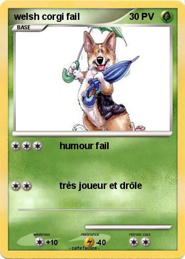 Pokemon welsh corgi fail