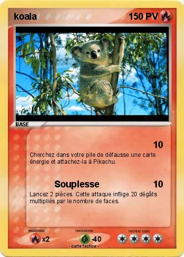 Pokemon koala