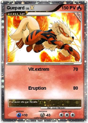 Pokemon Guepard