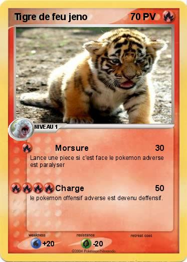 Pokemon Tigre de feu jeno