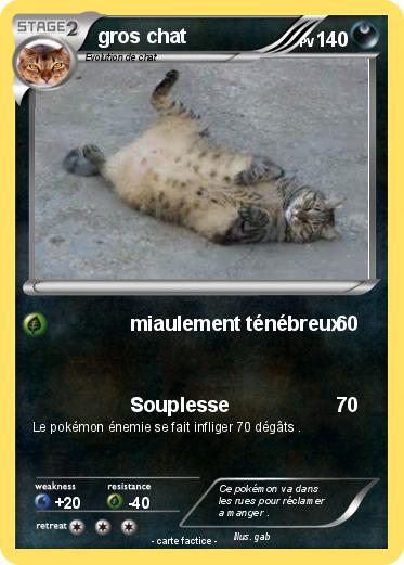 Pokemon gros chat