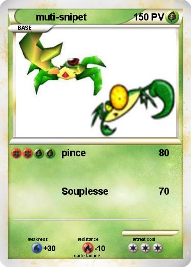 Pokemon muti-snipet