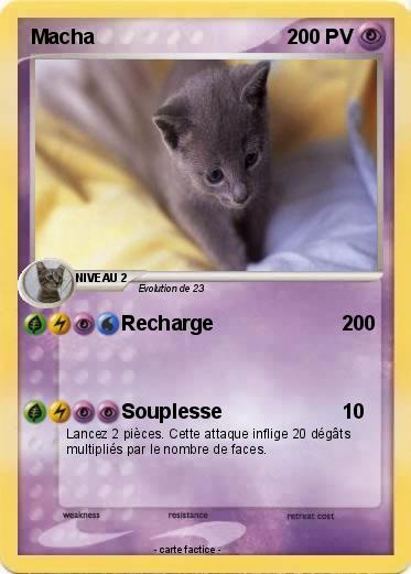 Pokemon Macha