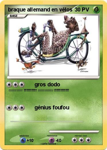 Pokemon braque allemand en vélos