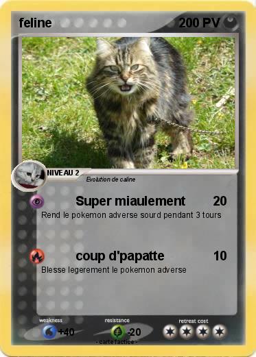Pokemon feline