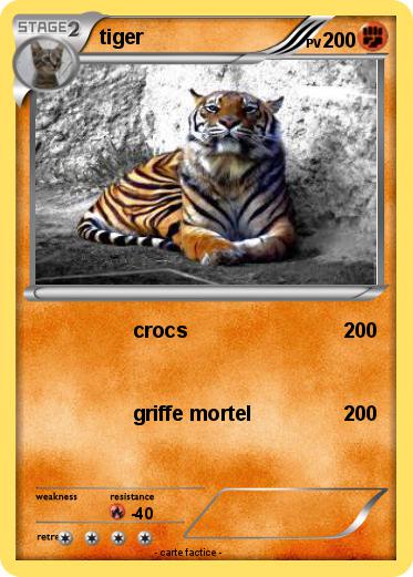 Pokemon tiger
