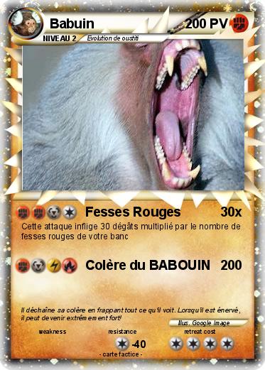 Pokemon Babuin