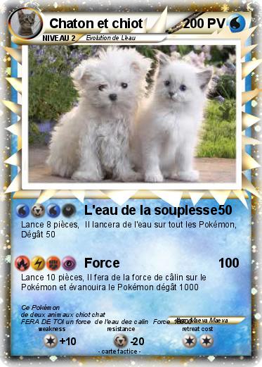 Pokemon Chaton et chiot