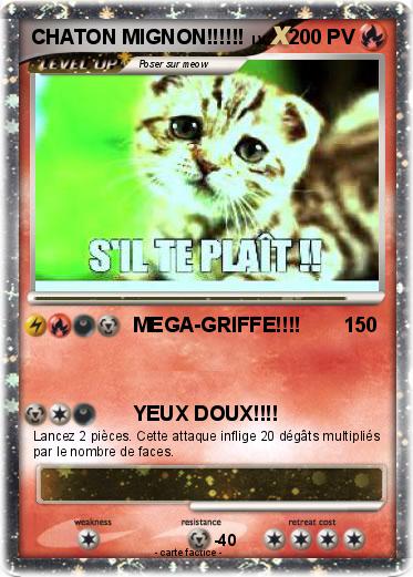 Pokemon CHATON MIGNON!!!!!!