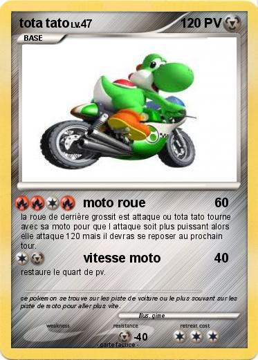 Pokemon tota tato