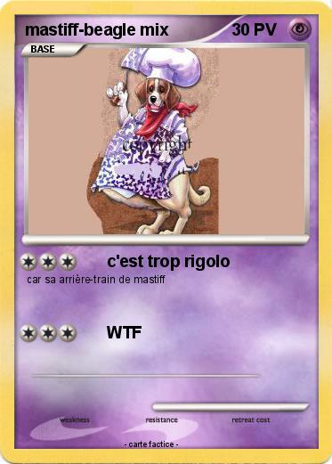 Pokemon mastiff-beagle mix