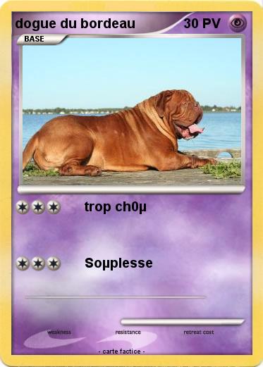 Pokemon dogue du bordeau