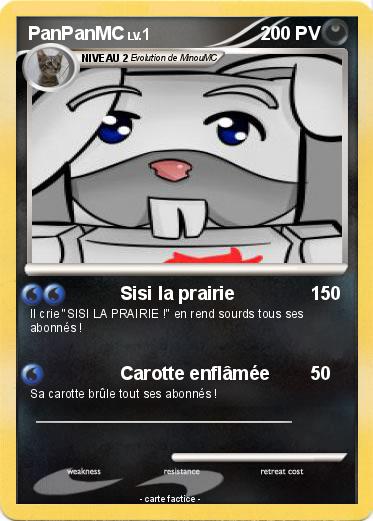 Pokemon PanPanMC