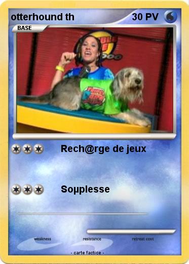 Pokemon otterhound th