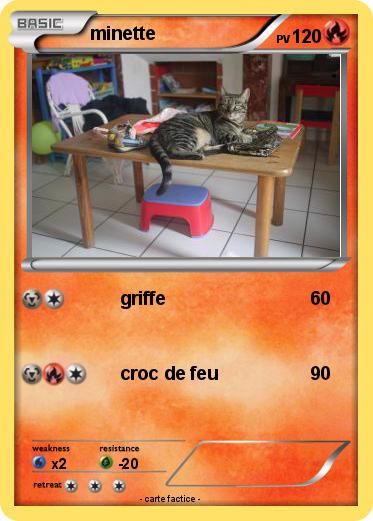 Pokemon minette