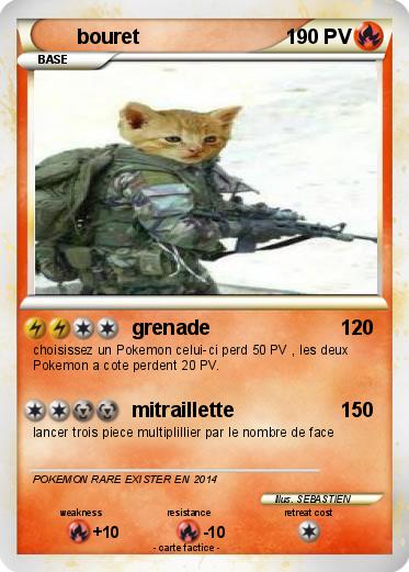 Pokemon bouret