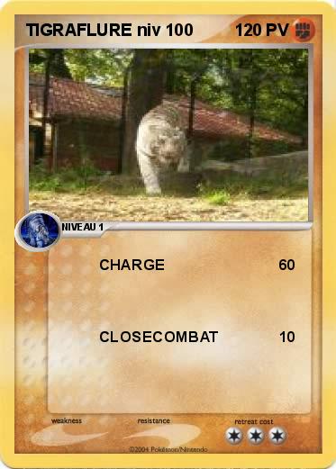 Pokemon TIGRAFLURE niv 100