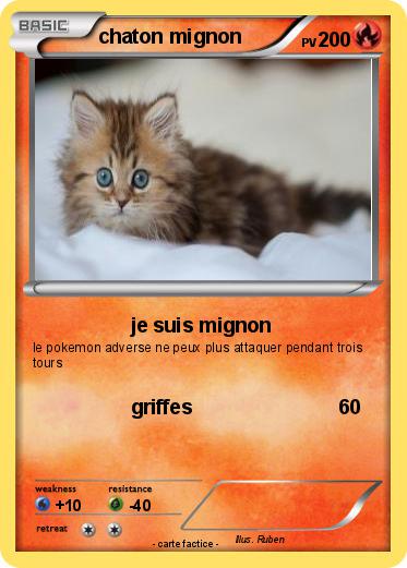 Pokemon chaton mignon