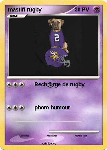Pokemon mastiff rugby