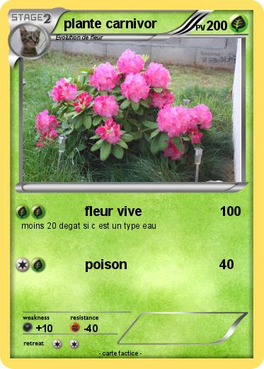 Pokemon plante carnivor