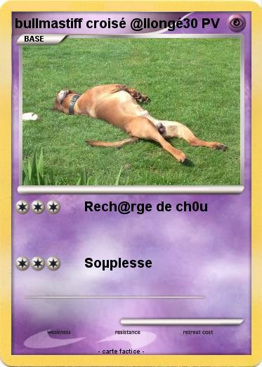 Pokemon bullmastiff croisé @llongé