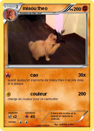 Pokemon miaou theo