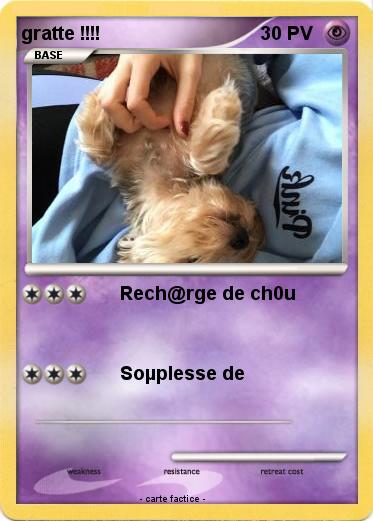 Pokemon gratte !!!!