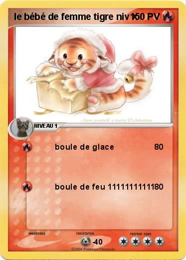 Pokemon le bébé de femme tigre niv X