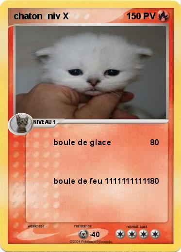 Pokemon chaton  niv X