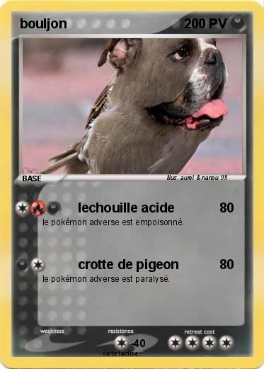 Pokemon bouljon