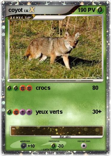 Pokemon coyot